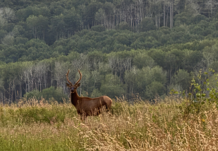 New Higher Ground Headwaters Ranch conservation easement