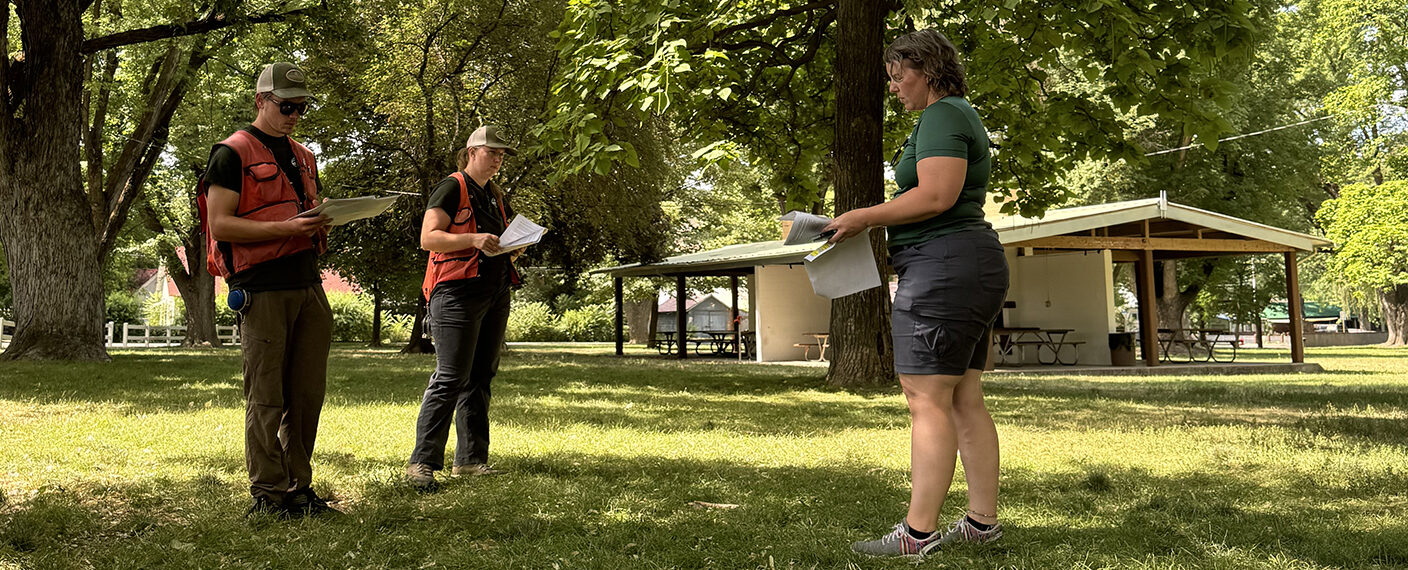 Three people stand in the grass in a park