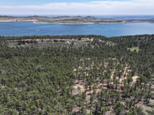 carter lake with a forest thinning project visible in the foreground