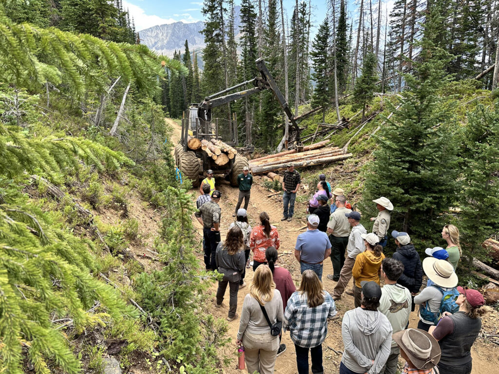 group of legislators and watershed experts attend tour of a forestry project.