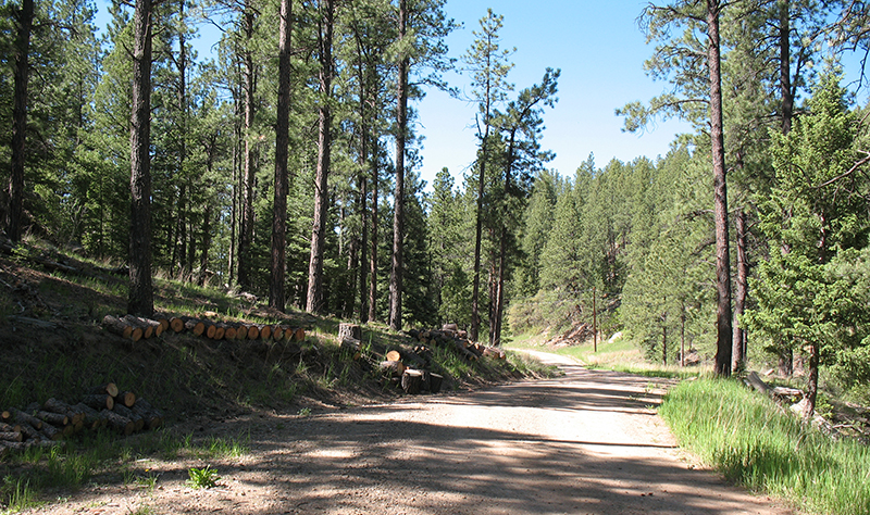 $7.04 million in grant funds available to reduce wildfire risk
