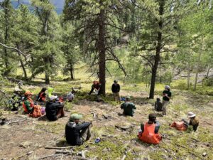 group of students learn about adaptive silviculture for climate change