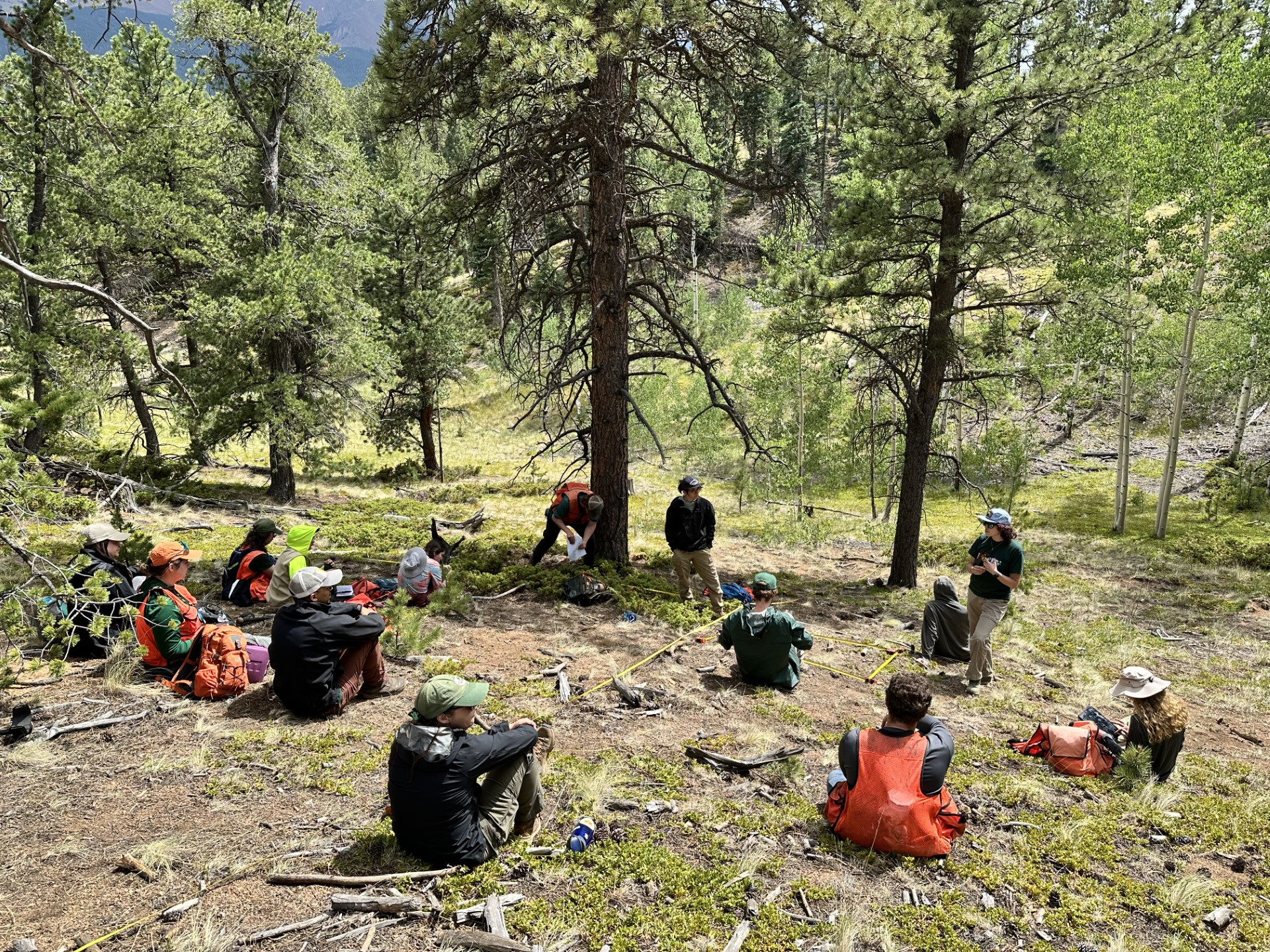 group of students learn about adaptive silviculture for climate change