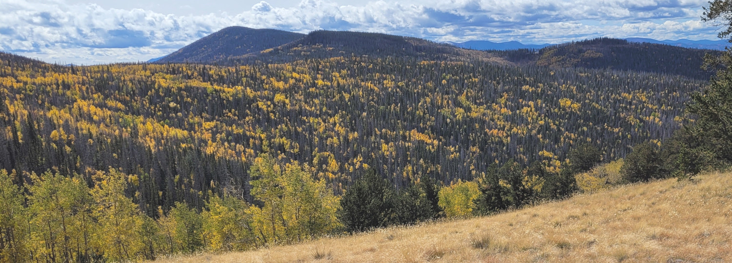 Waugh Mountain during autumn in the CSFS Canon City Field Office area