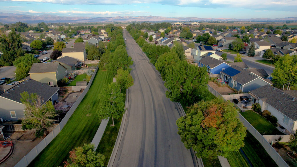 Nine Colorado communities receive urban forestry grant funding