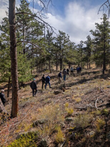 People walk through the Snyder family forest in Livermore, CO.