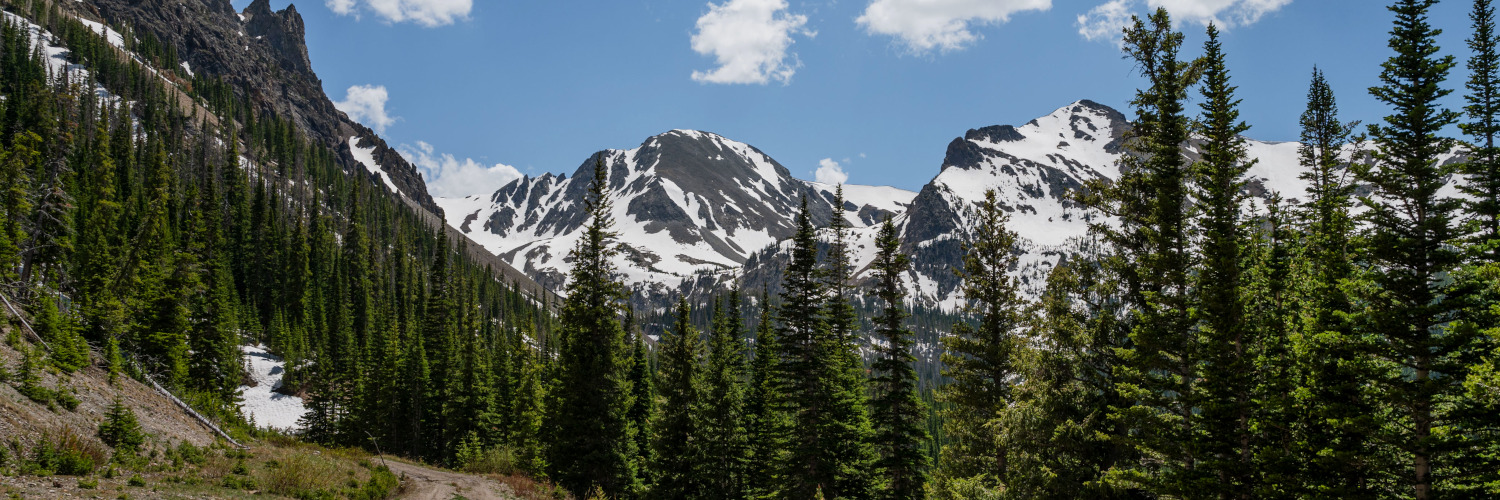 A view of the Colorado State Forest