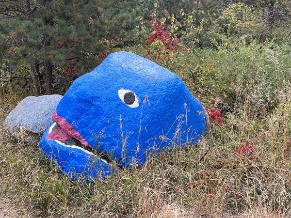 large boulder in a grassy area painted bright blue